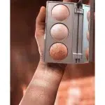 پالت هایلایتر گلدن رز