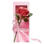 رژگونه شاخه گل رز شیگلم